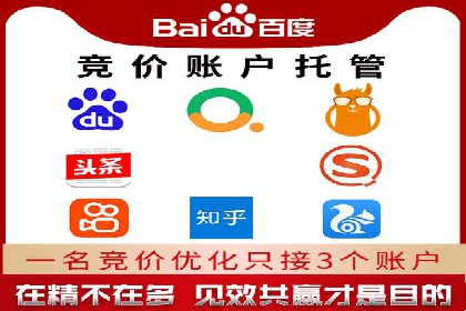 实战解析：百度竞价排名服务成功案例